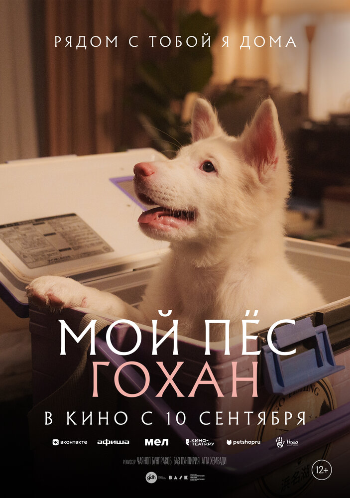  Мой пёс Гохан (2026) 